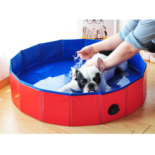La piscina pieghevole che rinfresca Fido in 3 secondi – senza gonfiarla!”