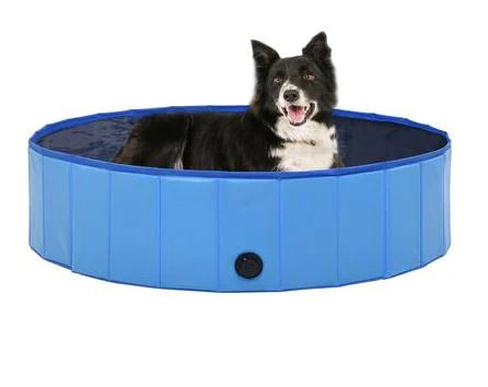 La piscina pieghevole che rinfresca Fido in 3 secondi – senza gonfiarla!”
